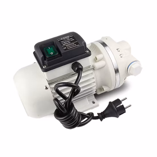 AC 110 V/220 V EU-Stecker Harnstoff Adblue Wassertransferpumpe